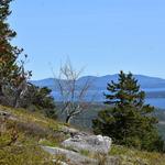 Blue Hill Mountain