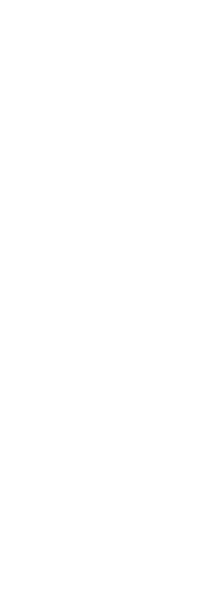 peonies