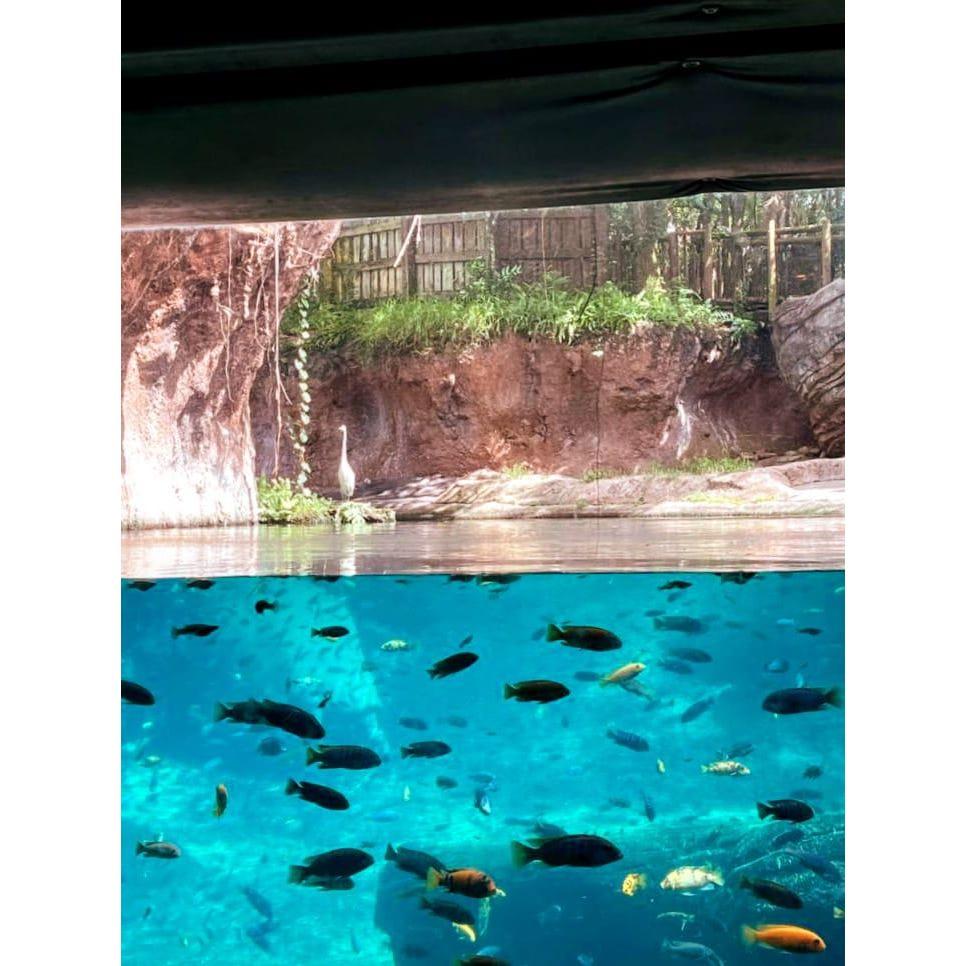 The view from Miguel's lens