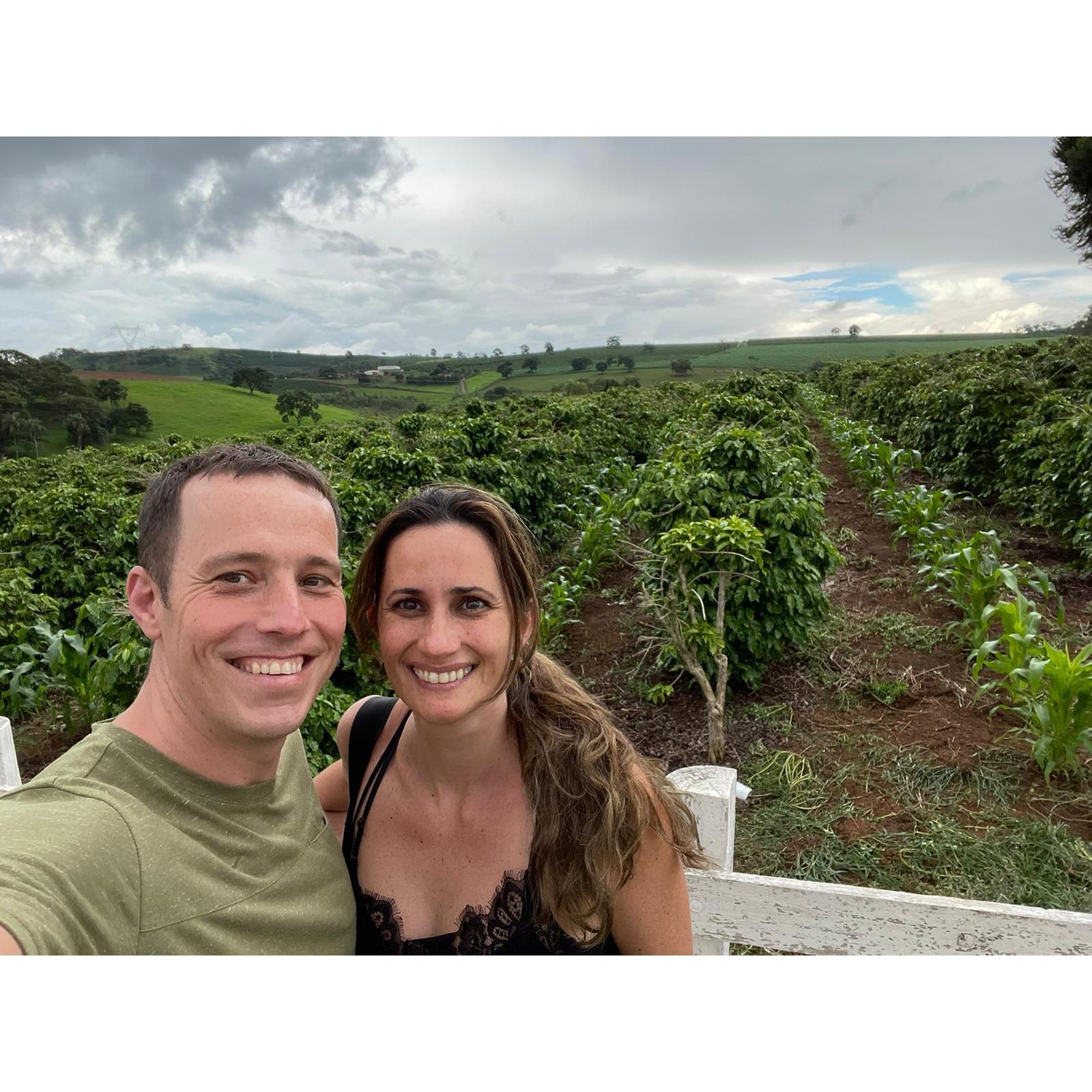 Driving through coffee farms in Brazil (Minas Gerais)