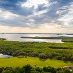Saltleaf Golf Preserve