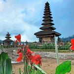 All inclusive Private 3 day tours package : Bali highlights