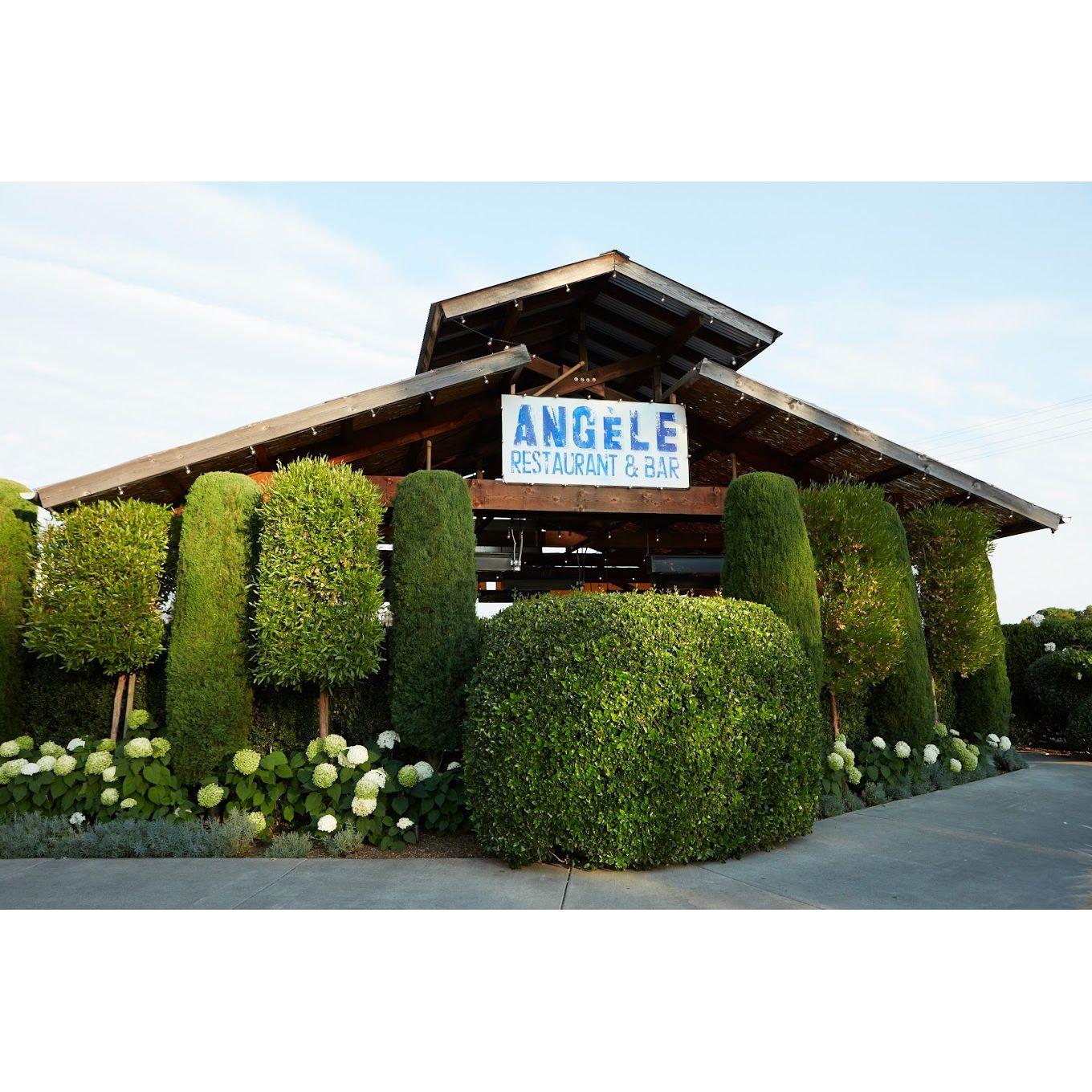 Angele - French, classic, upscale but worth it! 