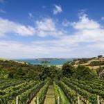 Vineyards and wineries