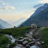 Glacier National Park