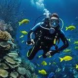 Diving & Aqua Sports