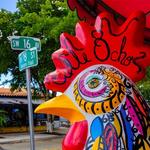 Little Havana