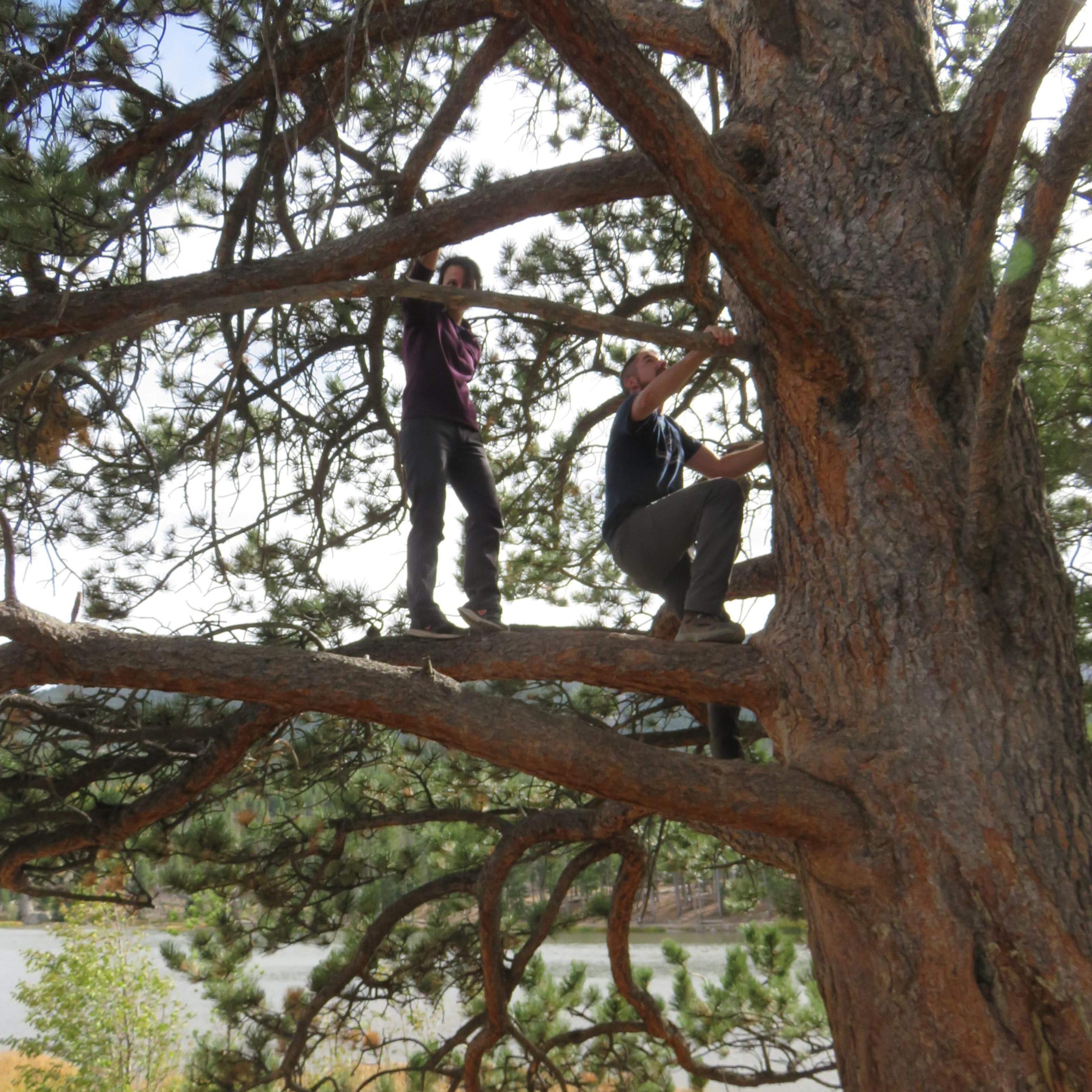 Climbing rocks...climbing trees...