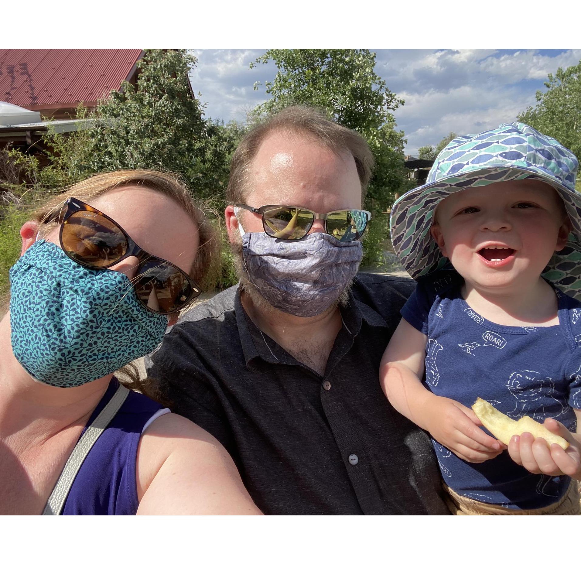 Pandemic adventures!