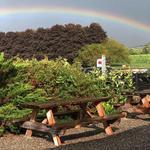 Kings Highway Cider Shack