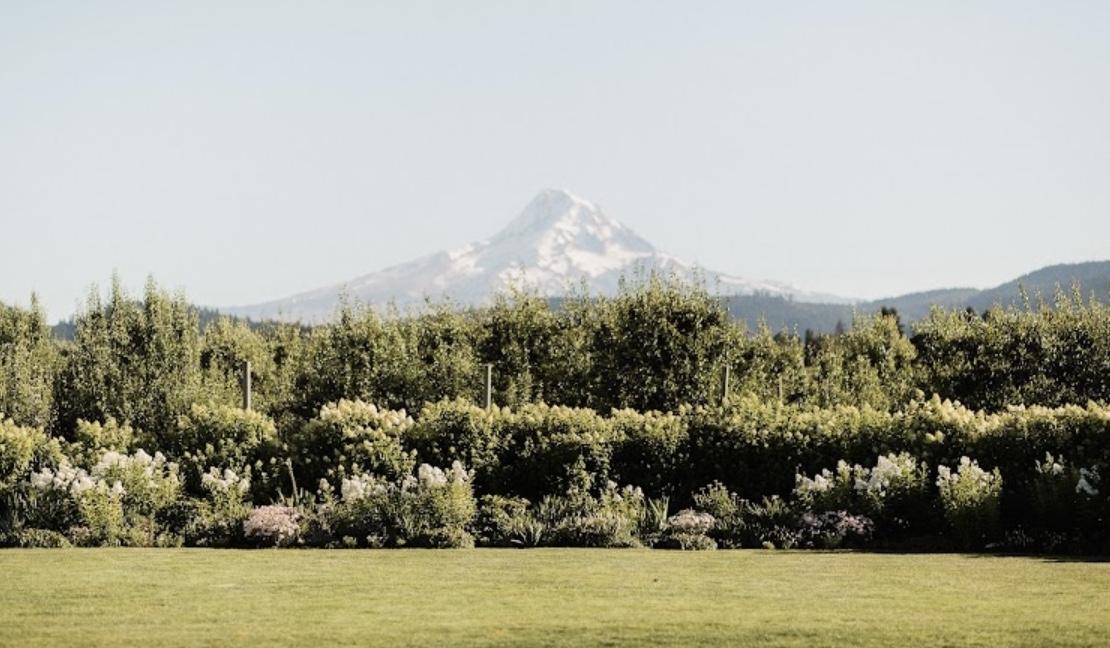 The Wedding Website of Serafine Parrish and JC Gross