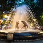 Coyoacán