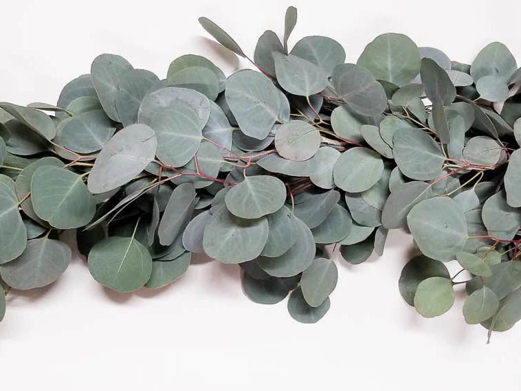 The Wedding Website of Kathryn Colohan and David Sweck