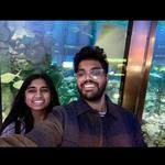 Shedd Aquarium
