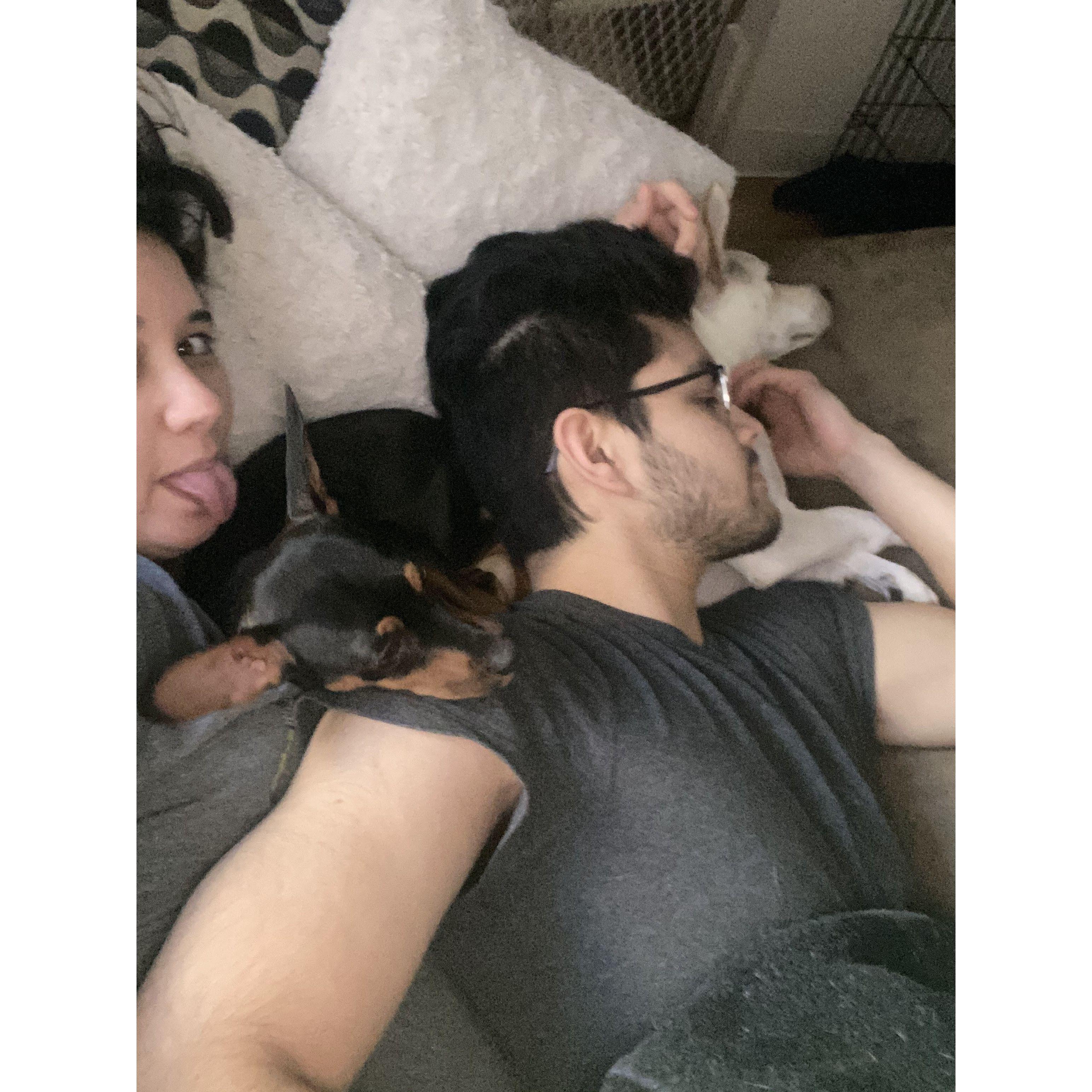 The whole family :)
