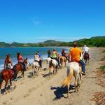 Horse Back Riding