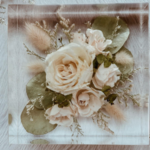Zola Registry