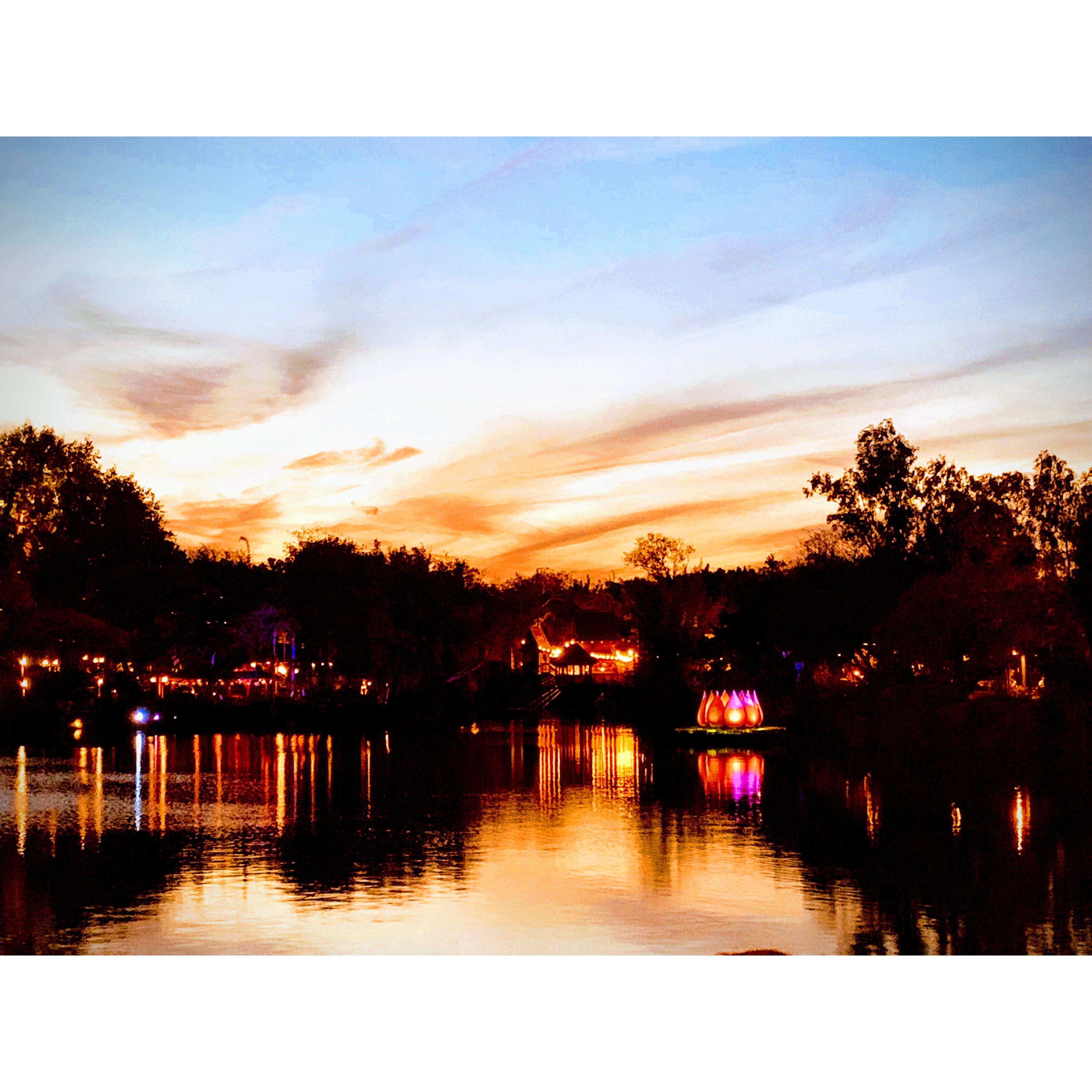 Sunset show at Animal Kingdom - DIsney World