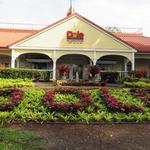Dole Plantation