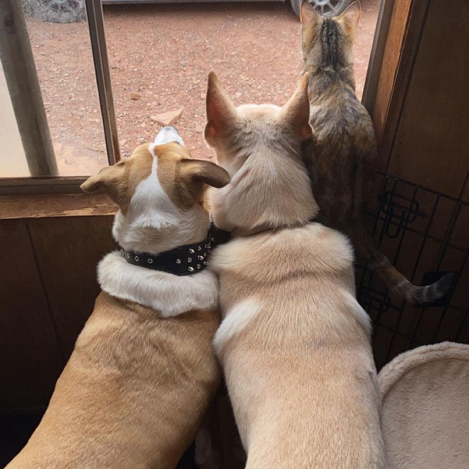 The kids