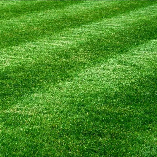 Lawn Mower!