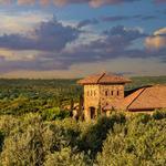 Texas Hill Country Olive Co.