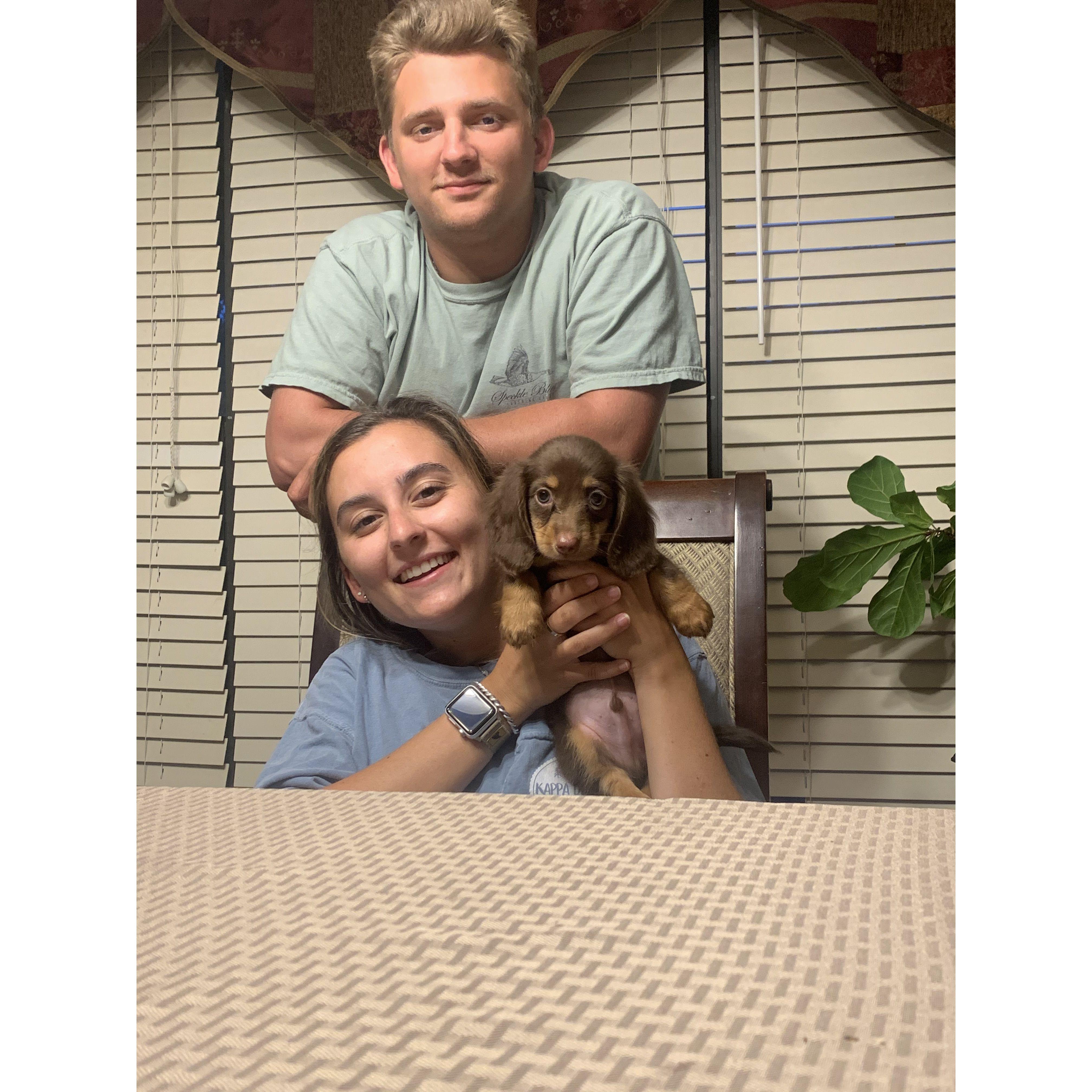 Our second baby, Albus