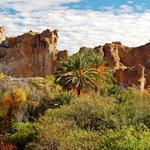 Boyce Thompson Arboretum