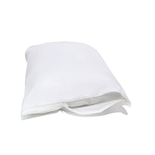 National Allergy Queen 2 Pack Allergy and Bed Bug Proof Pillow Cover, WHITE