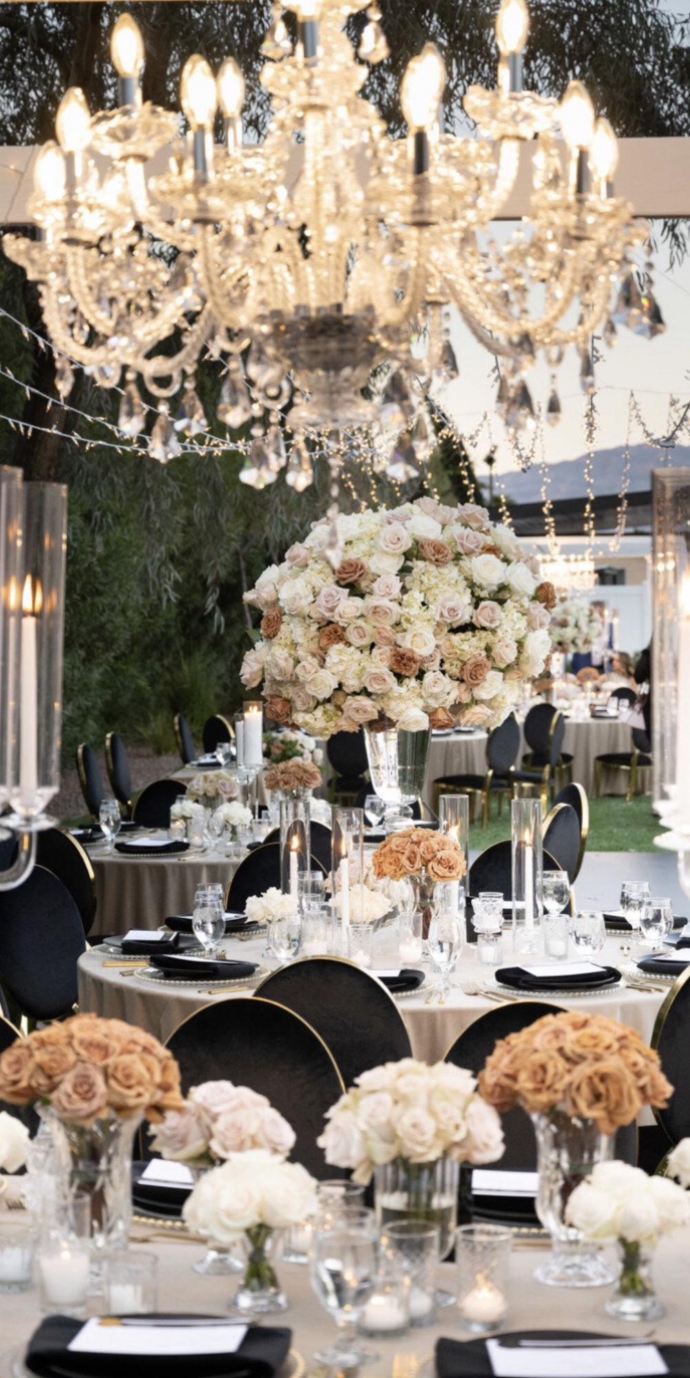 Here’s an inspiration photo of our Wedding colors