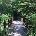 Hiking Trails