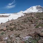 Timberline Ski Lodge