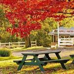 Apple Hill