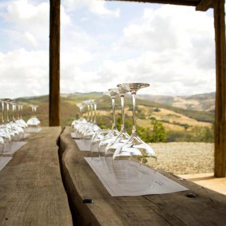 Tuscany Vineyard Day (Honeymoon)