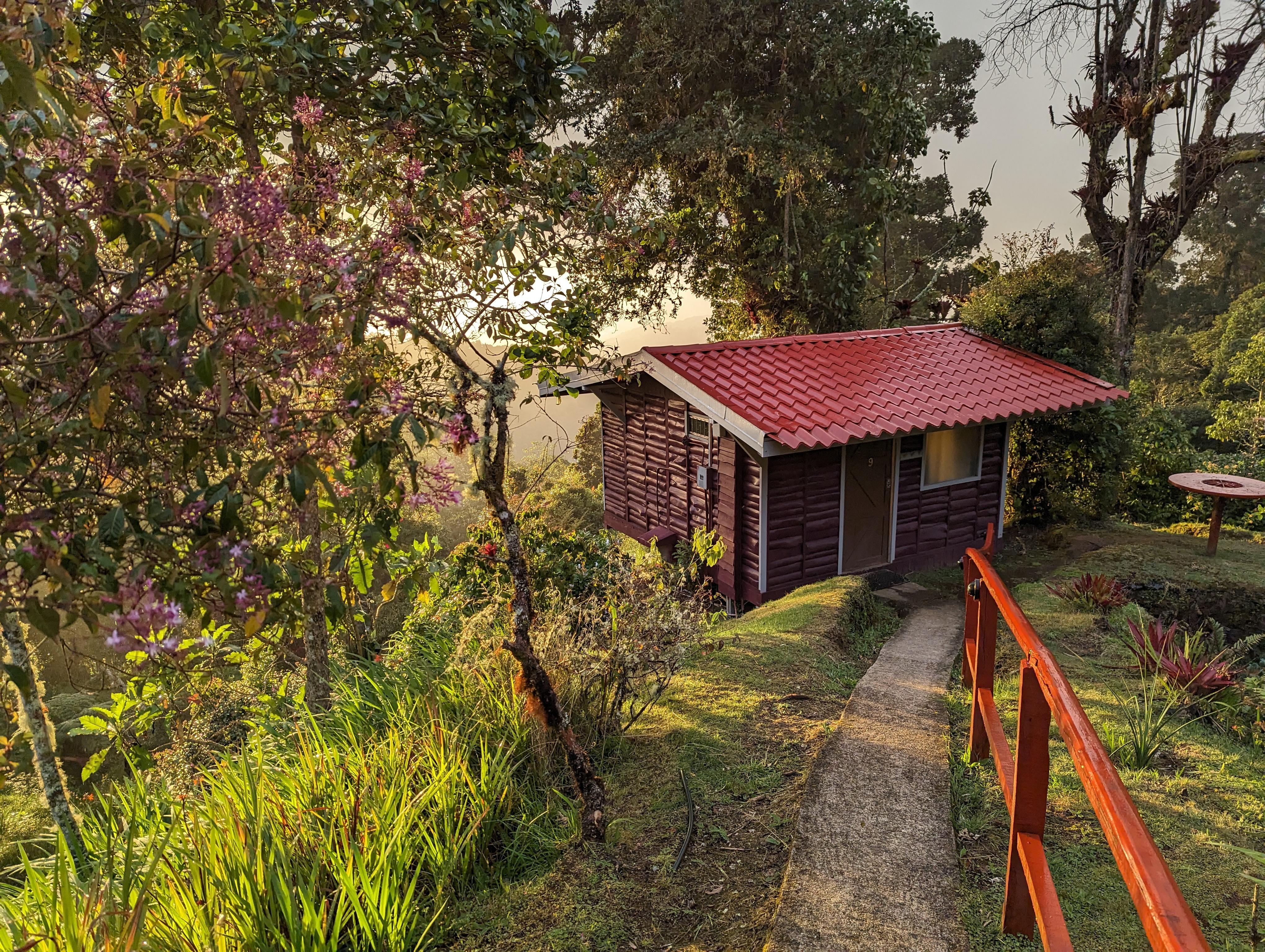 The Wedding Website of Melvin Cruz Molina and Mariela León Thomas