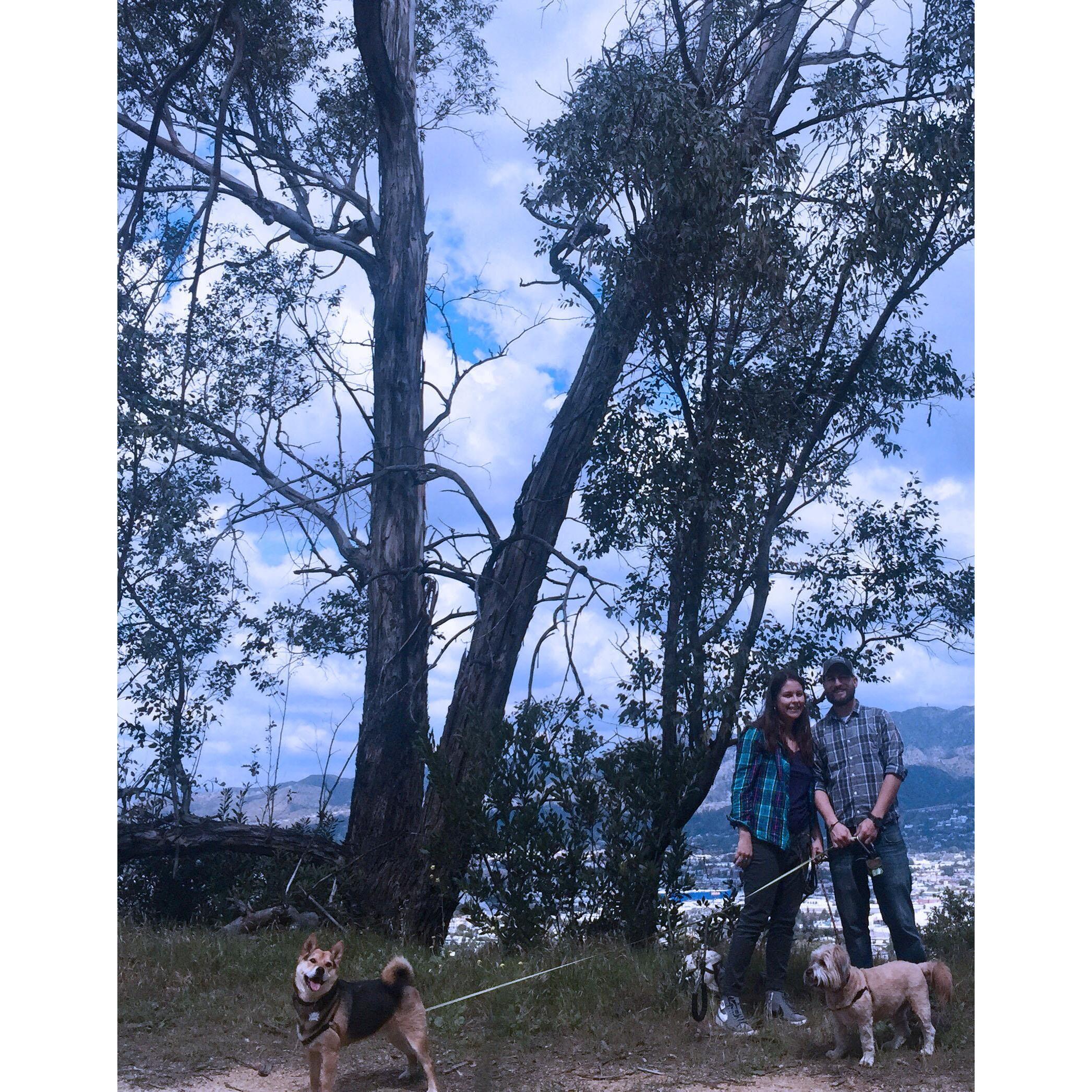 Engagement photo session hike with the pups at Griffith Park, March 2020 ( we social distanced and used an iphone with a timer to do these selfies)