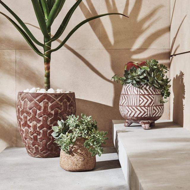 Terra Cotta Planter Set