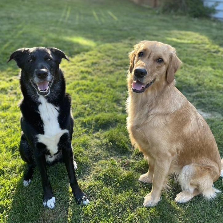 vader and honey
