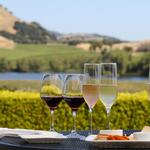 Wine Tasting in Napa Valley