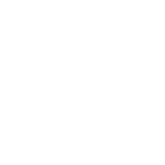Blue Dolphin Charter's