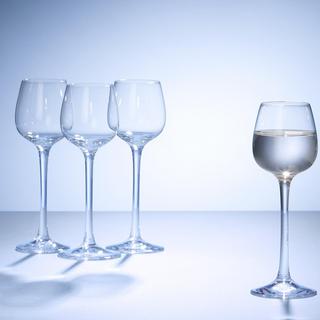 Purismo Spirits Glass, Set of 4