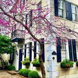 Two Sisters Tours