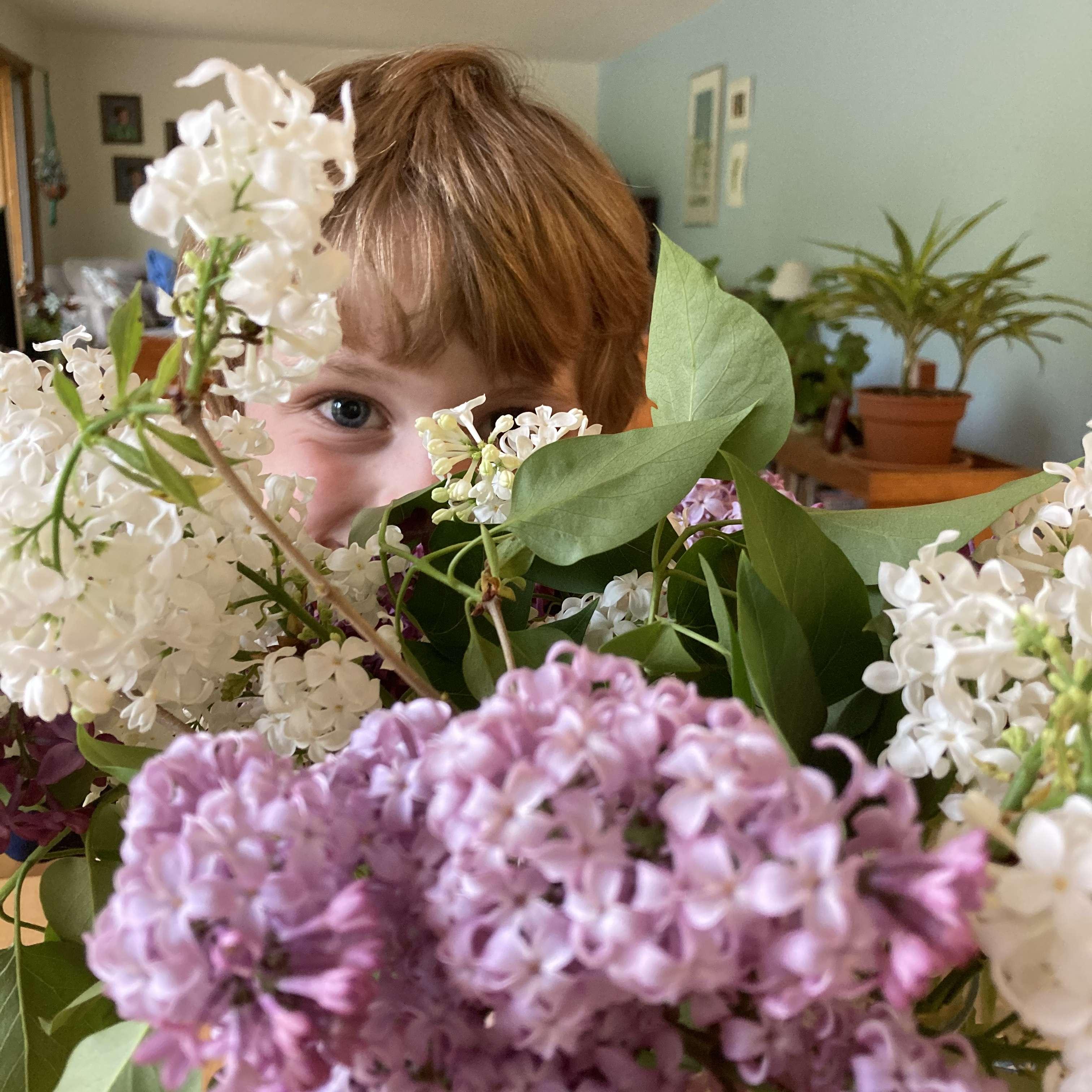 Lilacs for Debra