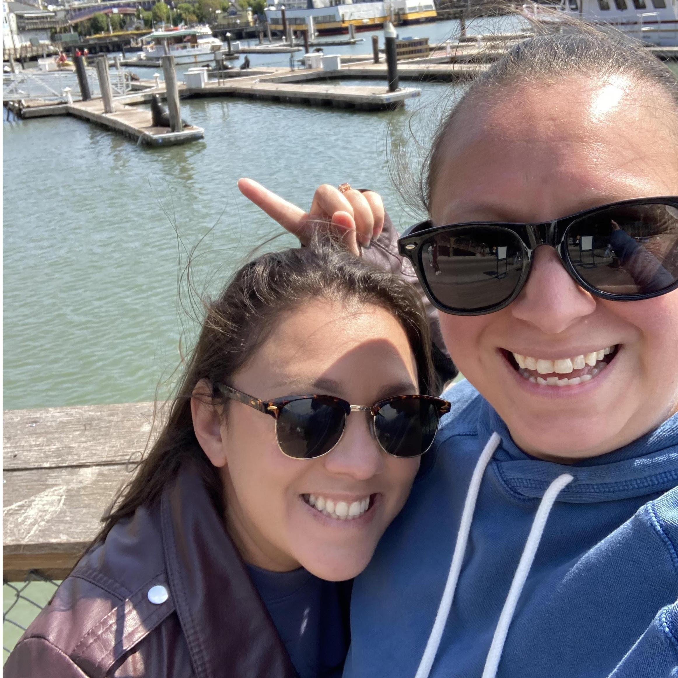 Seal watching in San Francisco