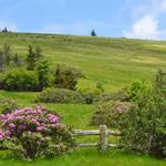 Roan Mountain State Park