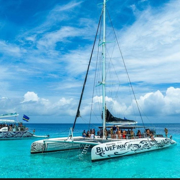 Catamaran day trip to Klein Island