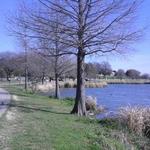 White Rock Lake Park