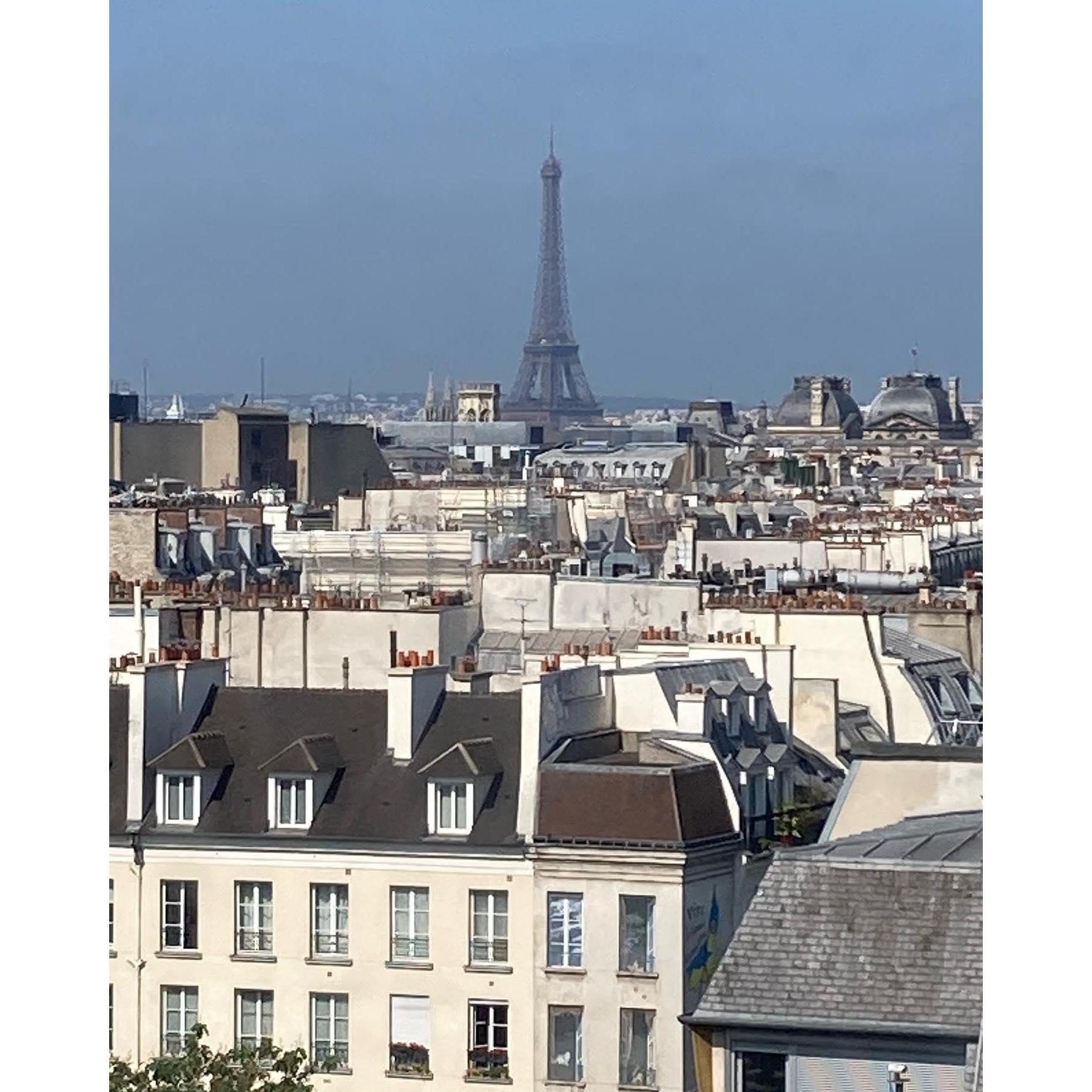 The view from Centre Pompidou, where Kit popped the question. <3