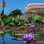 Downtown Frederick