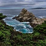 Point Lobos State Natural Reserve